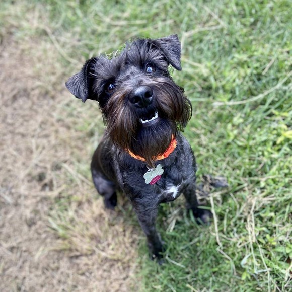 Hello My Posh Friends!! - Picture 9 of 11